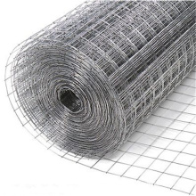 China ISO9001 Factory Supply Galvanized Welded Mesh Amazon Popular